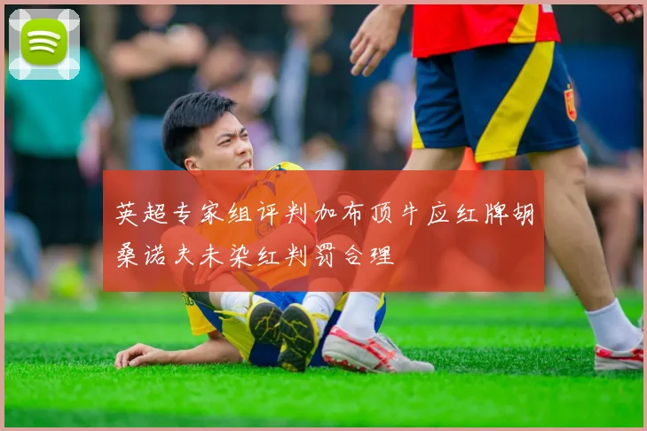 英超专家组评判加布顶牛应红牌胡桑诺夫未染红判罚合理